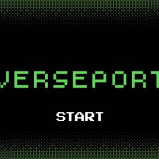 Oasys、コミュニティユーザー向けポータルサイト「VersePort」をリリース