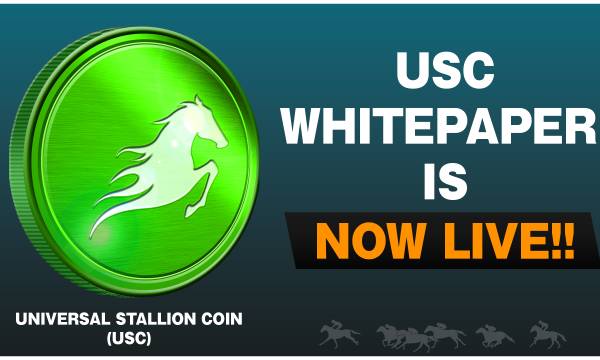 ユニスタRE、独自通貨「UniversalStallionCoin（USC）」をPolygon上で発行へ