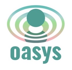 日本発ゲーム特化型ブロックチェーン「Oasys」25億円のトークンによる資金調達を完了