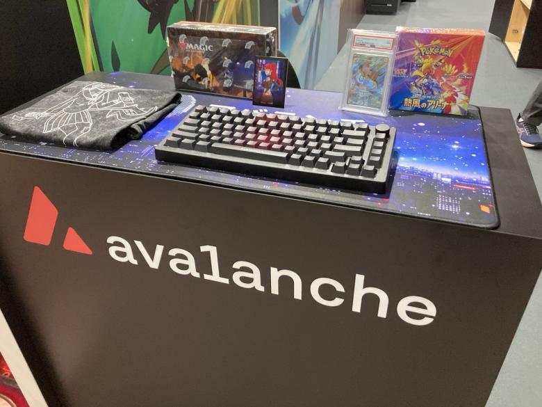 Avalanche　08-N16