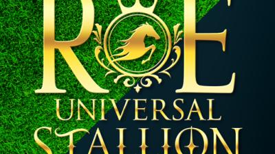 UNIVERSAL_STALLION_RE Dapps